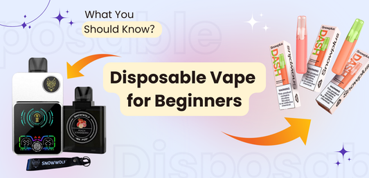 Best disposable vape for beginners