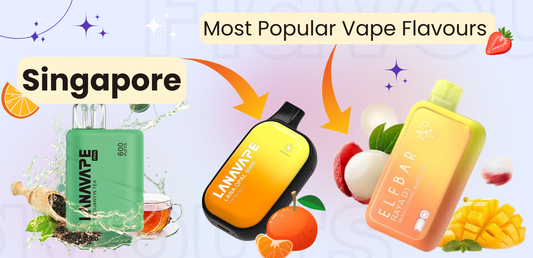 Best Watermelon Ice Vape Flavor Singapore