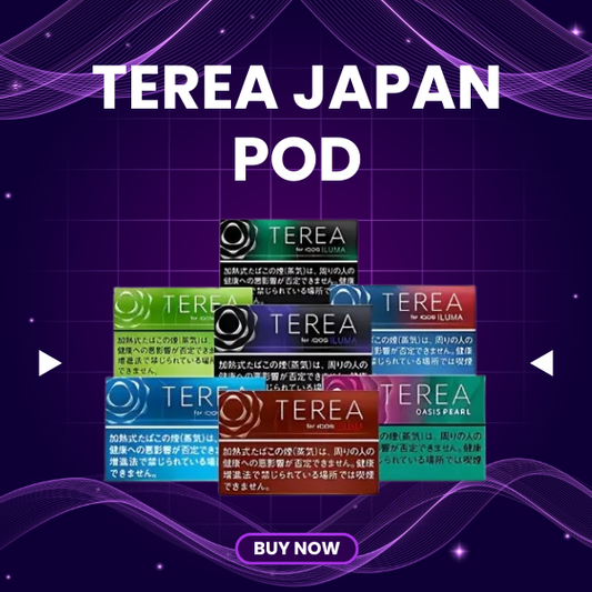 Terea japan big box 200 sticks front view